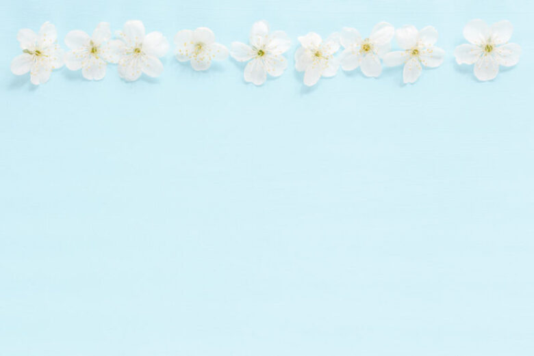 もっちーの北欧ライフ